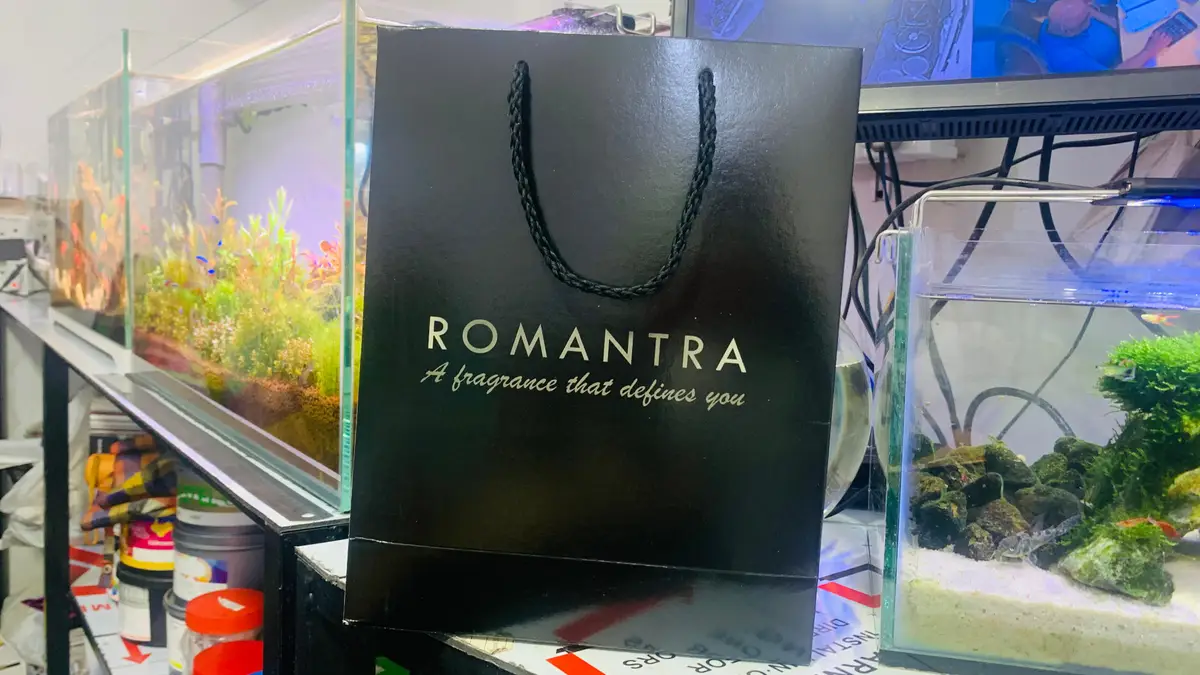 Logo Design Services